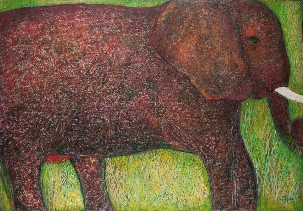 Elefante (2015)